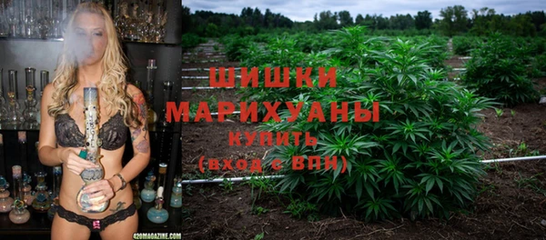 гашик Барнаул