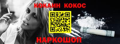 дмт Кингисепп