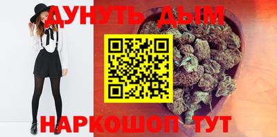 дмт Кингисепп