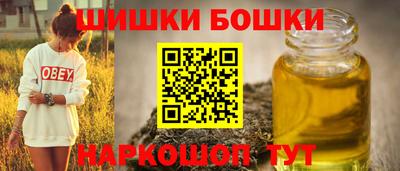 дмт Кингисепп