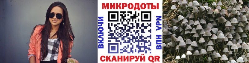 ОМГ ОМГ tor  как найти наркотики  Москва  Псилоцибиновые грибы Magic Shrooms 