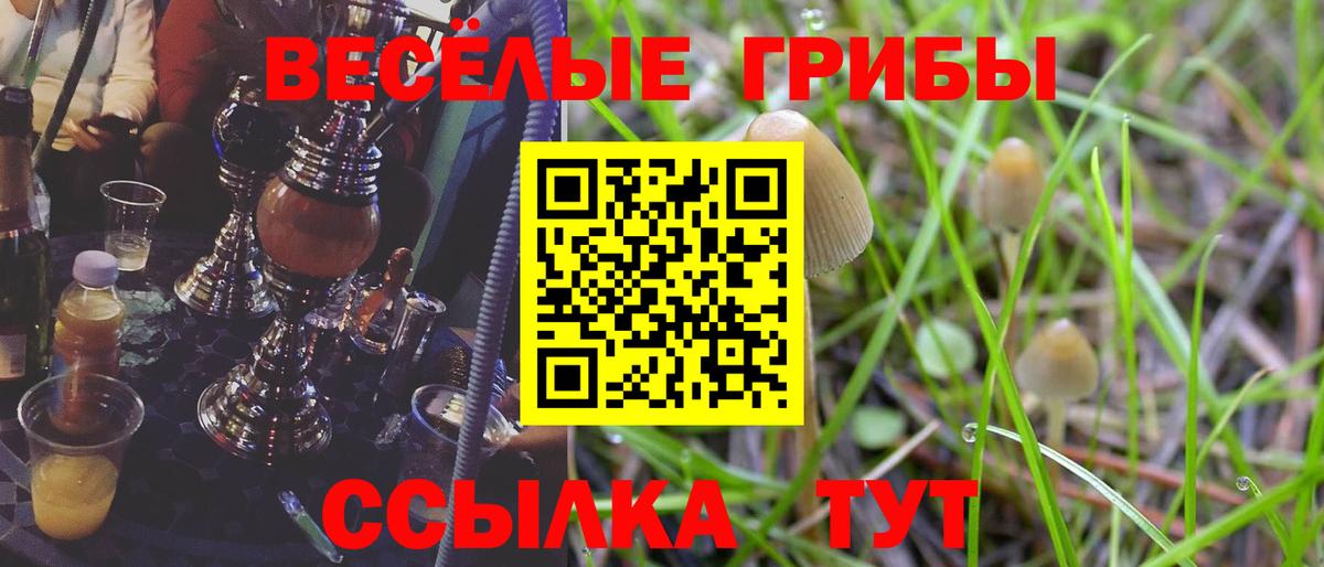 Галлюциногенные грибы MAGIC MUSHROOMS  Вход с VPN  Галлюциногенные грибы прущие грибы  Москва 